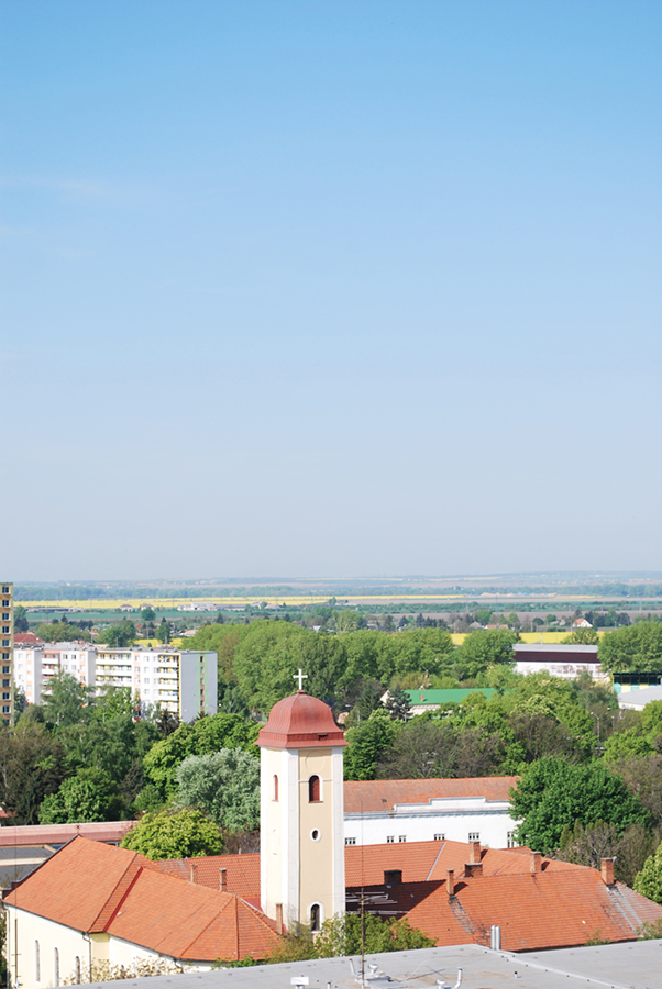 Kostol sv. Jozefa Levice